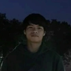 Michael Cher, Chicago