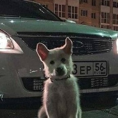 Мишкан Литвин, Никольское