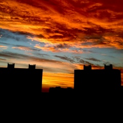 Марина Небоженко, Киев