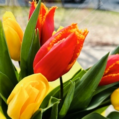 Sanya S, 22.03, Крым