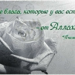 Алсу Зиннатуллина, 23.07.2006, Казань