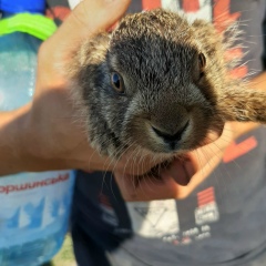 Люда Крольчук, 01.05