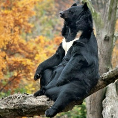 Даня Синьковский, 16.10.1992, Санкт-Петербург