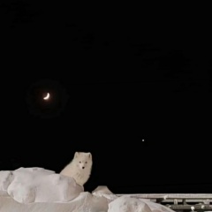 Владислав Соловьёв, 11.04, Волоколамск