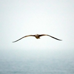 Саня Беликов, 25.03, Лисичанск