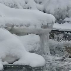 Оксана Курбатова, 30.01, Омск