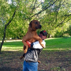 Юра Куликов, Москва