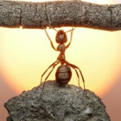 Айбек Ашуов, 01.01.1976