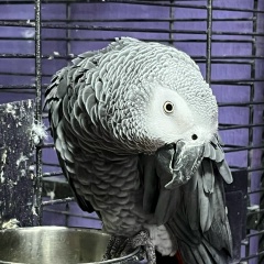 Марина Потарыкина, 18.07, Санкт-Петербург