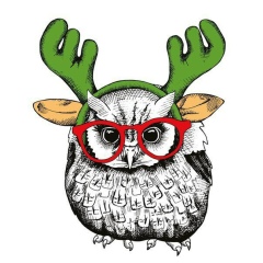 Анастасия Некрасова, Тюмень