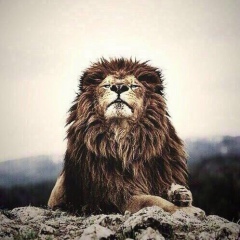 Iliyas Serikbaev, 20.08, Алматы