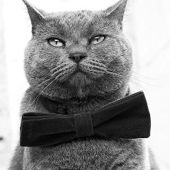 Оганес Овакимян, 17.10.1986, Краснодар