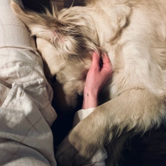 Марина Сарданашвили