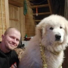 Павел Маршалов, 04.03.1988, Санкт-Петербург