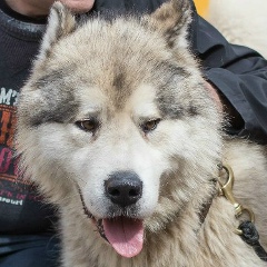 Виталий Дмитриев, 27.11.1964, Санкт-Петербург