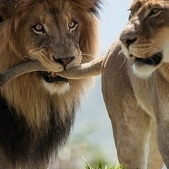 Куля Жунусова, 26.02.1985, Костанай