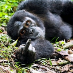 Андрей Краснов, 25.10, Москва