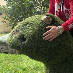 Александр Батьков, 21.02, Санкт-Петербург