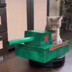 Олег Дерипаско, Санкт-Петербург