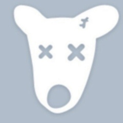 Гулим Садыгожа, 28.08, Санкт-Петербург