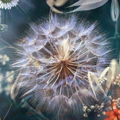 Маргарита Миронова, Санкт-Петербург