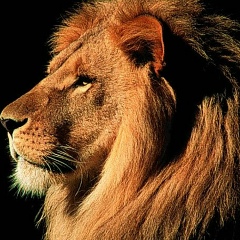 Антон Дудко, 24.08, Павлодар