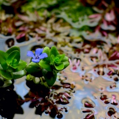 Александр Шамарин, 24.10.1985, Москва