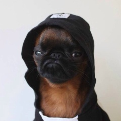 Николай Котляров, 30.08.1990, Санкт-Петербург