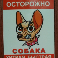 Алеся Позднякова, Санкт-Петербург