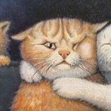 Александр Притула, Кропивницкий / Кировоград