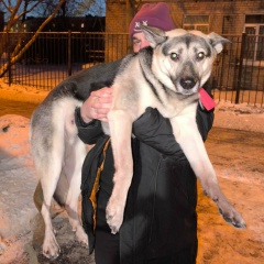 Игорь Ланин, Санкт-Петербург