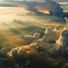 Odilbek Nurullaev, 18.12, Ташкент