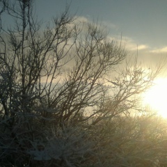 Илья Потапов, 28.07.1987, Богандинский