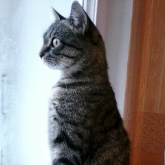 Елена Савченко, 31.07