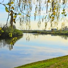 Ольга Семенова, Вологда