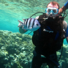 Игорь Лукашевский, 18.03, Киев