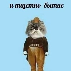 Оксана Покальчук, Киев