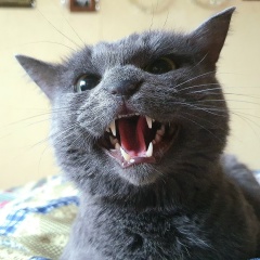 Роман Журавлев, 04.01.1976, Москва