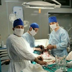 Nekruz Sodikov, 29.06, München