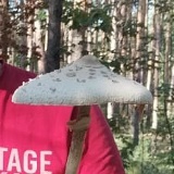 Вадим Милайкин, 14.02.1920, Тольятти