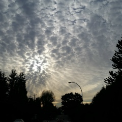 Татьяна Гайдукова, 08.05, Vancouver