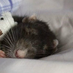 Екатерина Антонова, 21.01, Санкт-Петербург