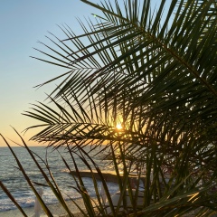 Елена Царева, 13.03, Москва