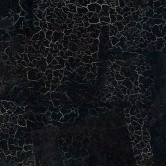 Alina Stepnova, Москва