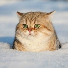 Ирина В, 22.10