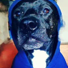 Maxy Angel, 12.04.1989, Киев