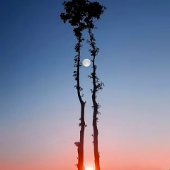 Лина Мамедова, Тбилиси