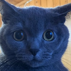 Никита Матвеев, 13.05.1998, Санкт-Петербург