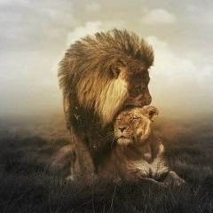 Gosha Bxng, 05.02, Киев