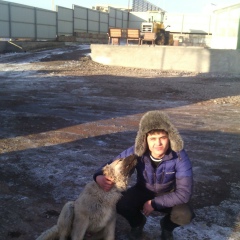 Хуршид Махмудов, 22.12.1991, Berlin